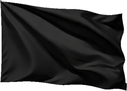 Black Flag