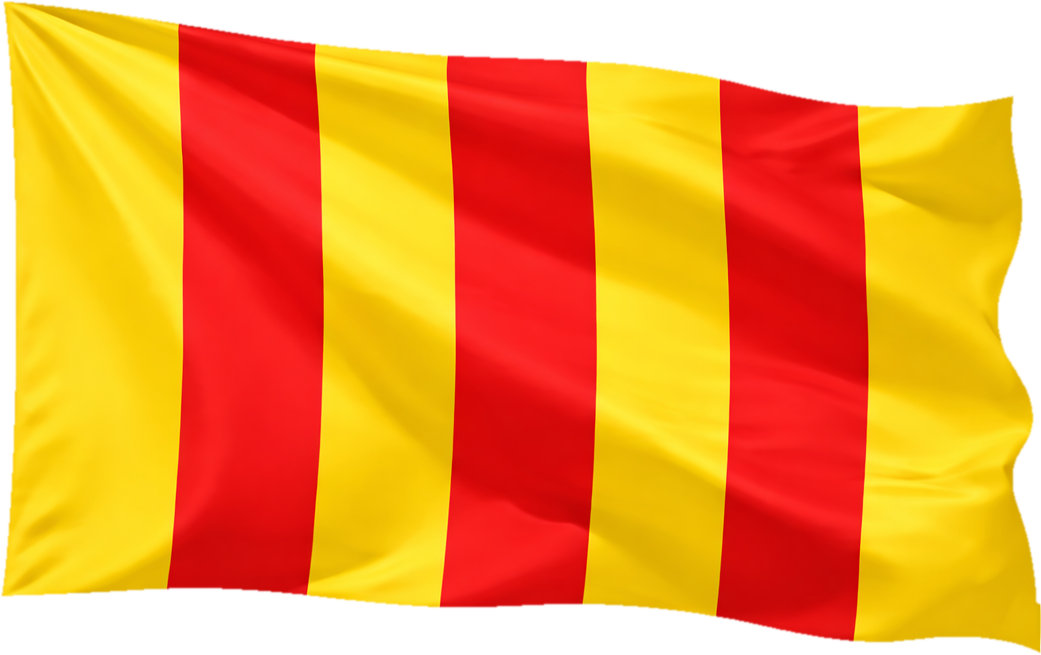 Surface Conditions Flag