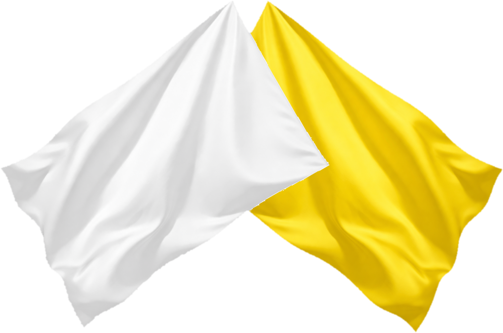 Yellow/White Double Caution Flag